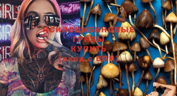 стаф Ветлуга