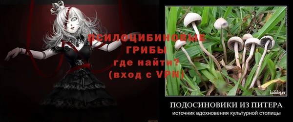 ALPHA-PVP Переславль-Залесский
