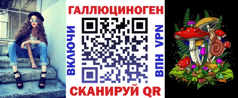 закладки  Котлас  Псилоцибиновые грибы прущие грибы 