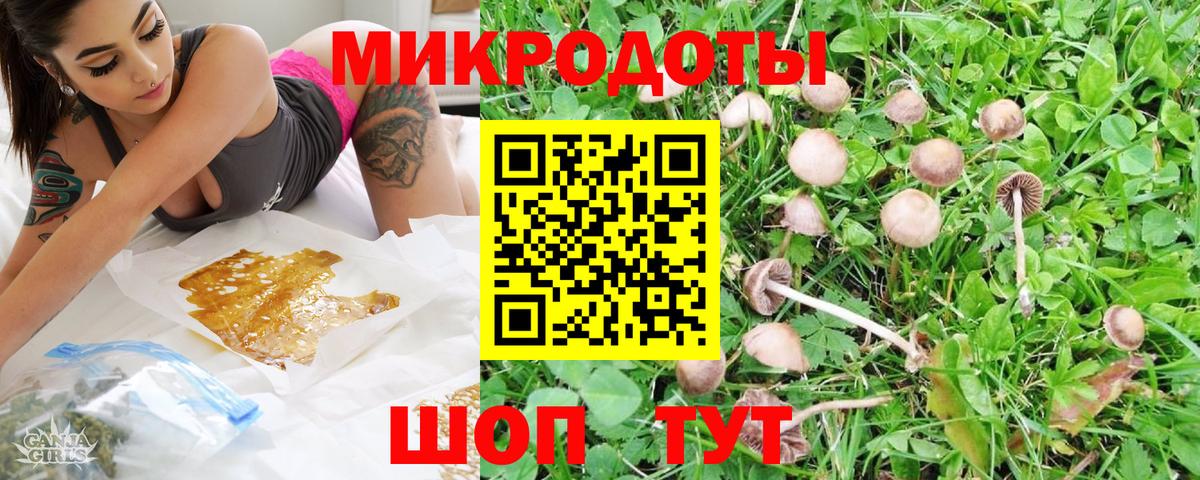 Псилоцибиновые грибы MAGIC MUSHROOMS  Вход с VPN  Котлас 