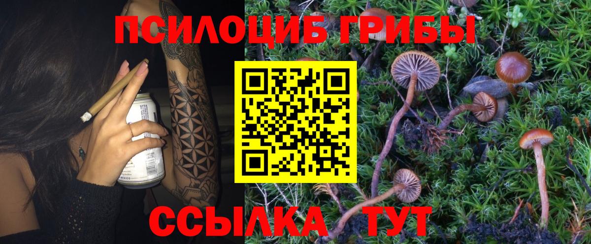 Галлюциногенные грибы прущие грибы Котлас